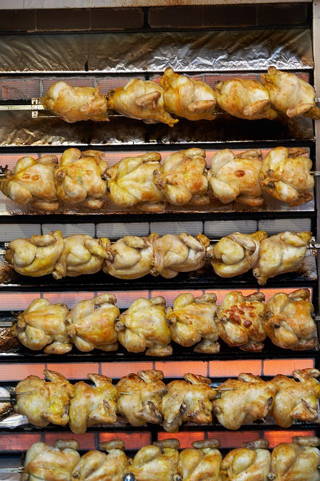 pollos